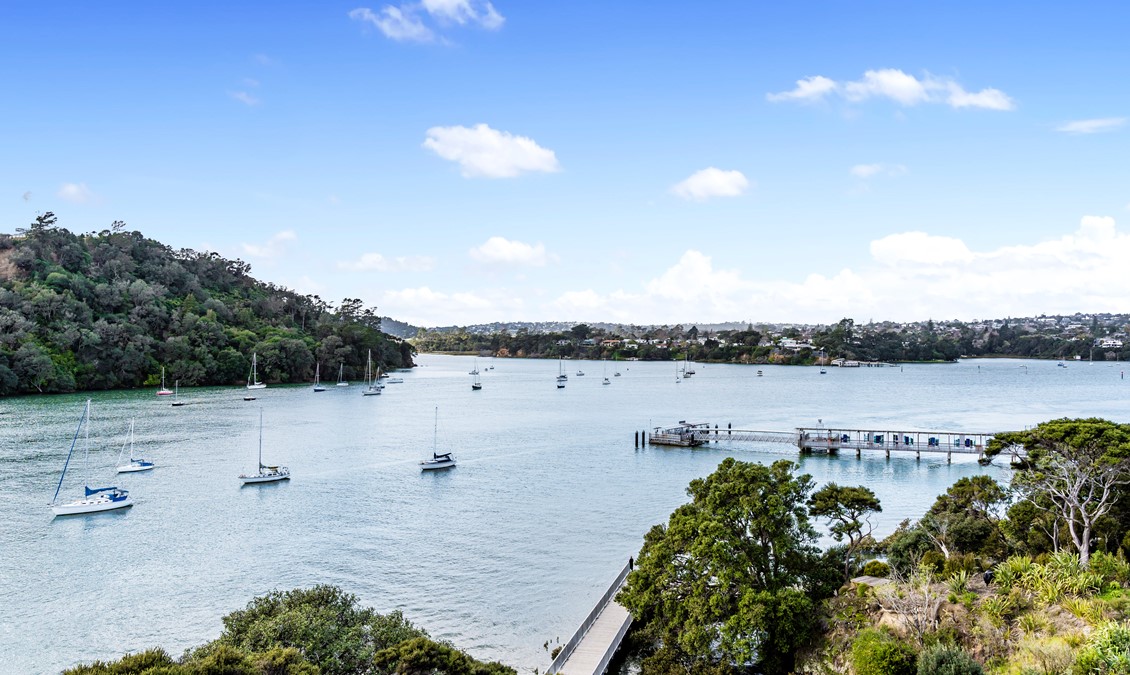 North East View From Jimmy's Point 1